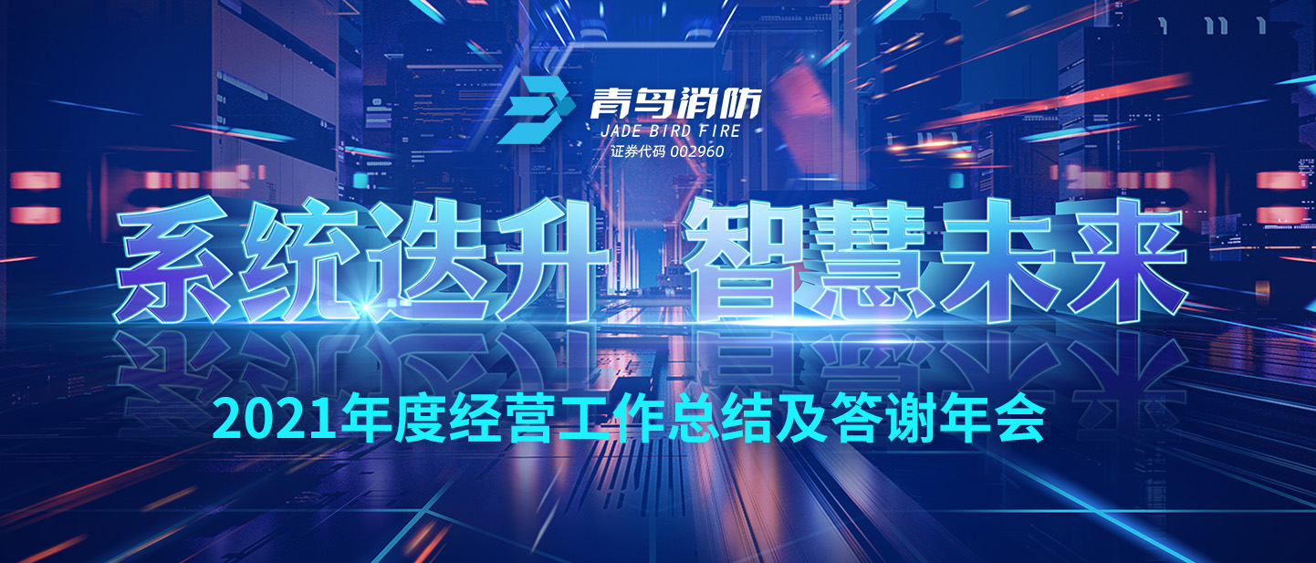系统迭升 智慧未来 | 2021年度谋划事情总结及答谢年会
